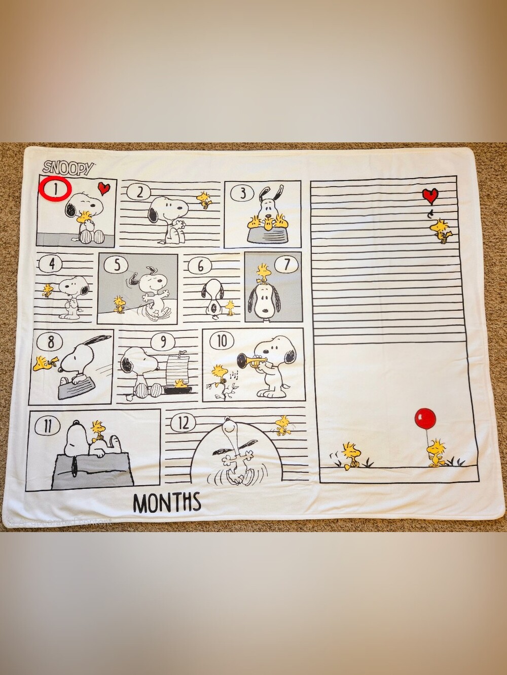 Lambs & Ivy Snoopy Peanuts Milestone Black/White Fleece Baby Blanket